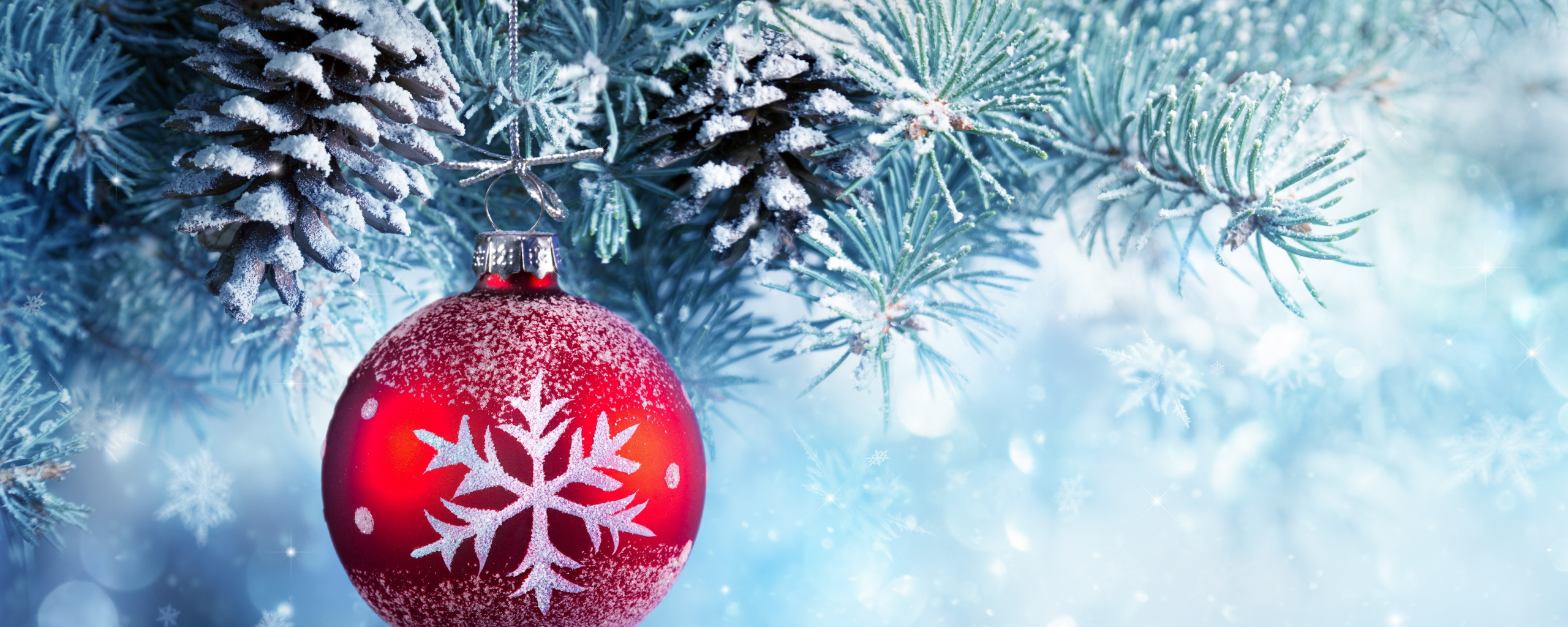Desktop Wallpaper Christmas Ball, Christmas Ornament, Winter, Pine Trees, Frost, 5k, HD Image, Picture, Background, Fd57d9