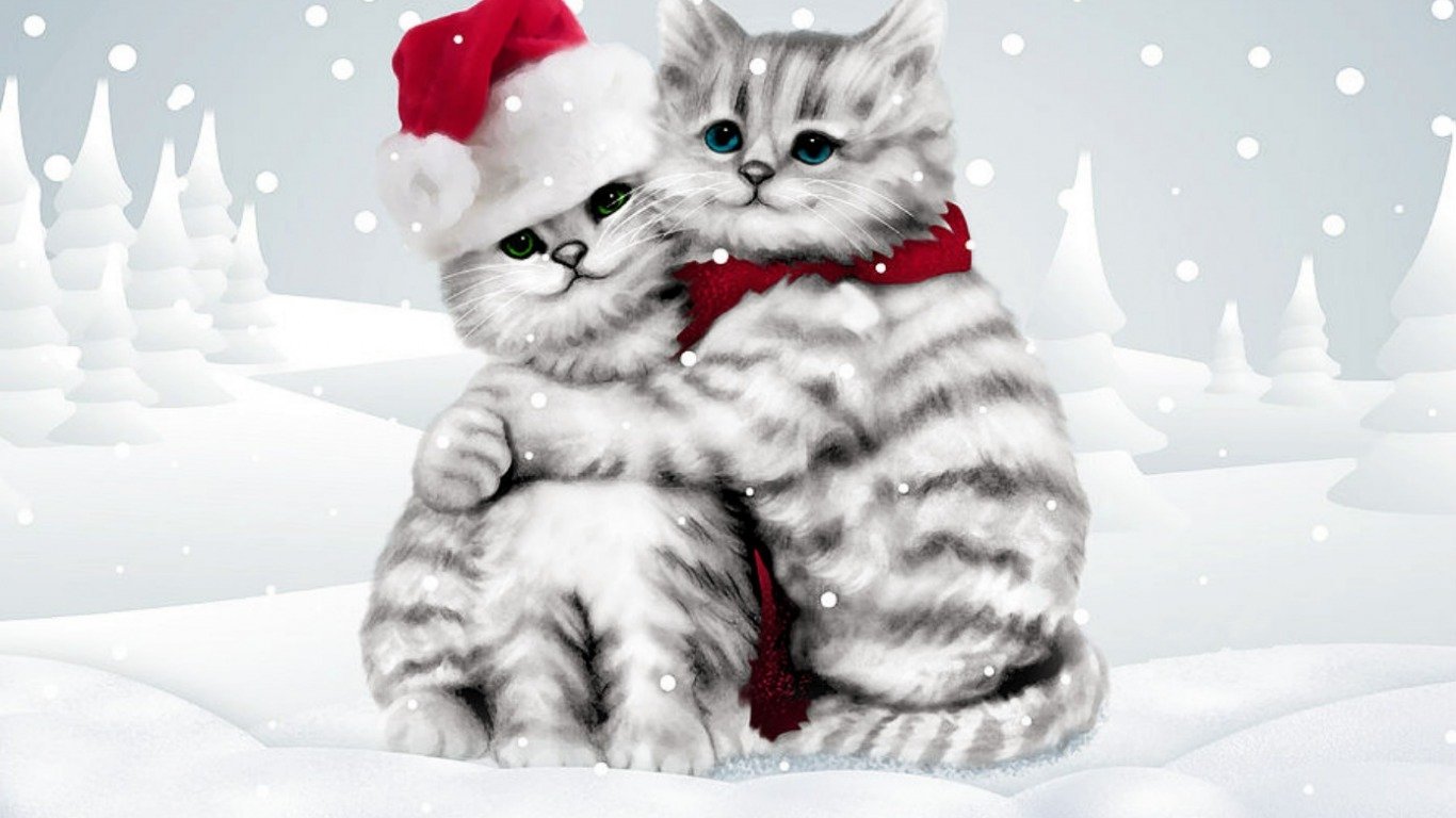 Winter Cats Wallpaper and Background Imagex768