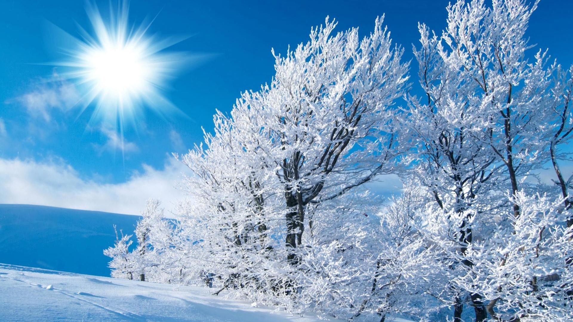 Winter Landscape Sunny Wallpaper, HD Winter Landscape Sunny Background on WallpaperBat