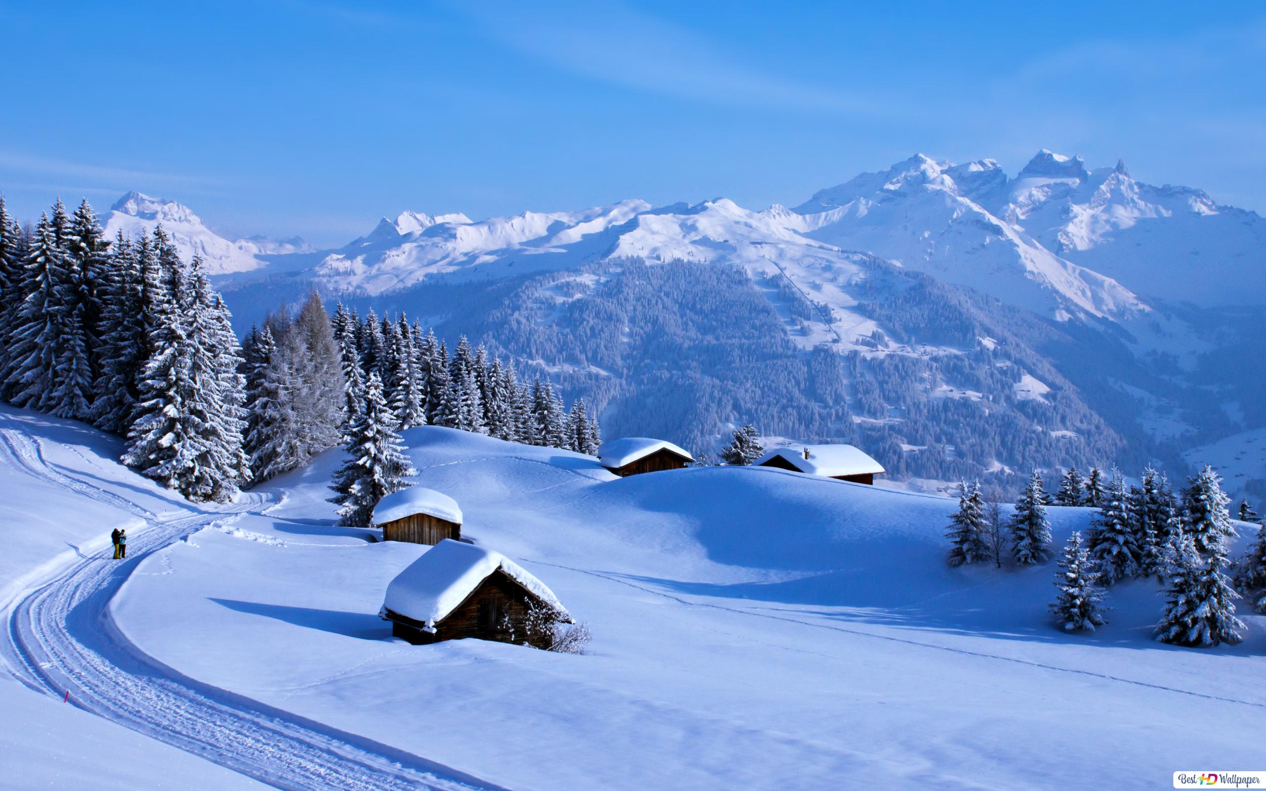 Perfect winter landscape HD wallpaper download