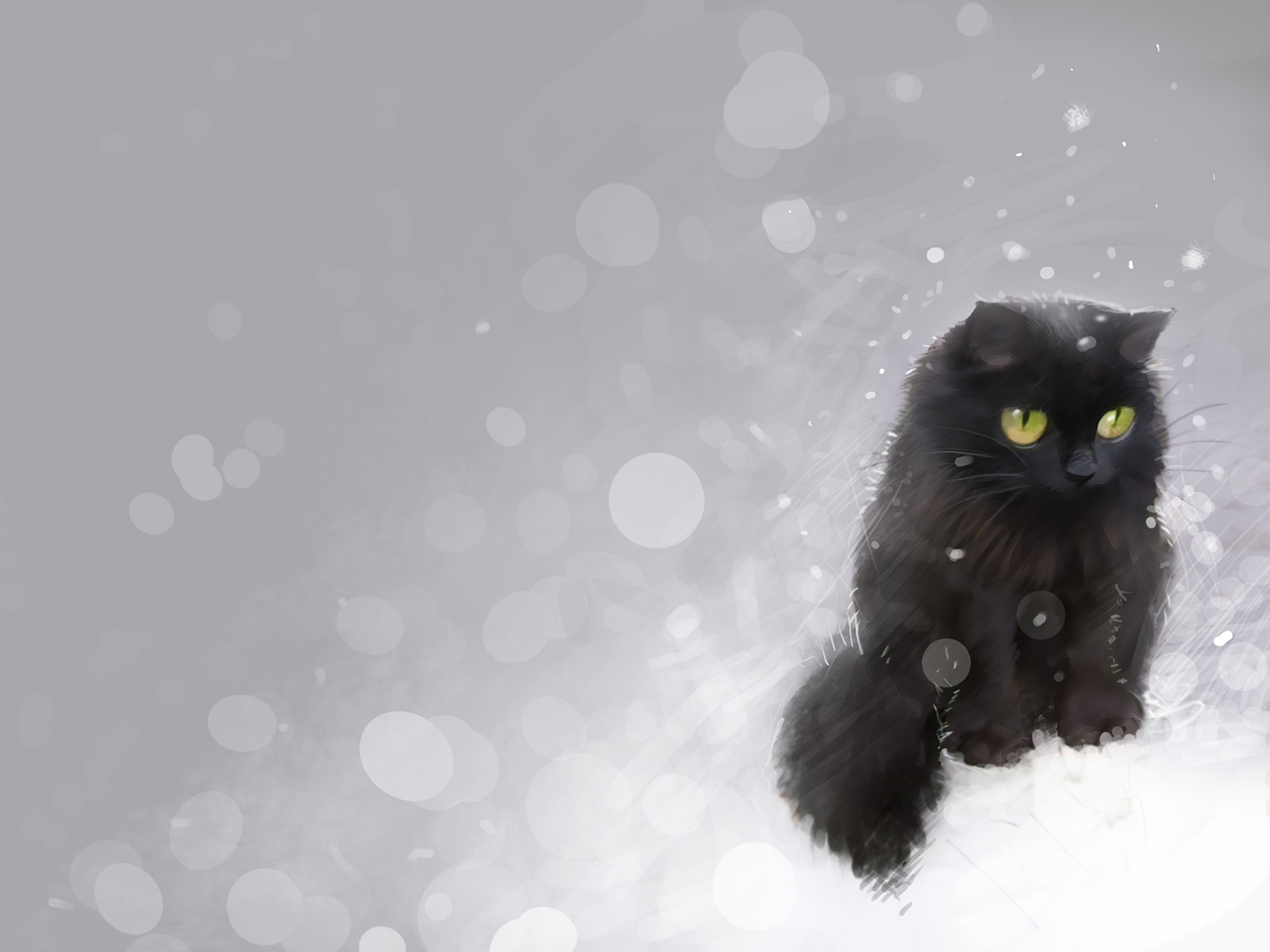 Cute Winter Cat Wallpapers - Wallpaper Cave