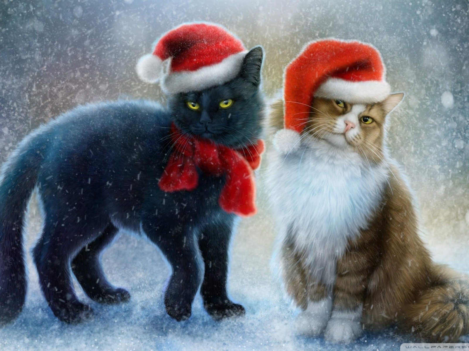 Christmas Cats Winter Snow Red Caps HD Wallpaper 1920 x1200, Wallpaper13.com