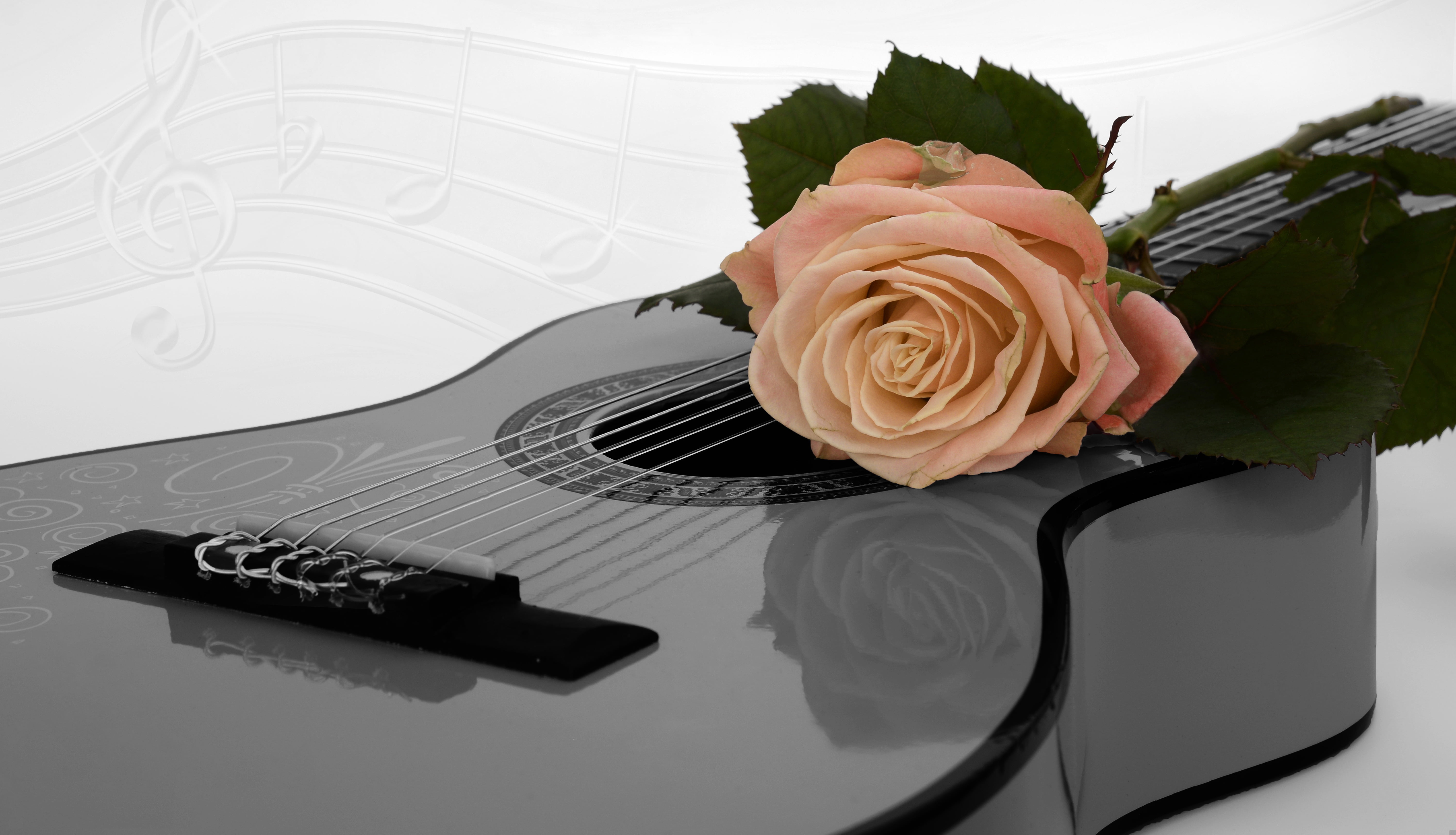 Guitar And Roses Wallpapers - Wallpaper Cave