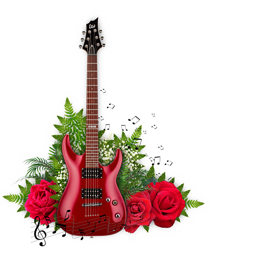 Guitar And Roses Wallpapers Wallpaper Cave