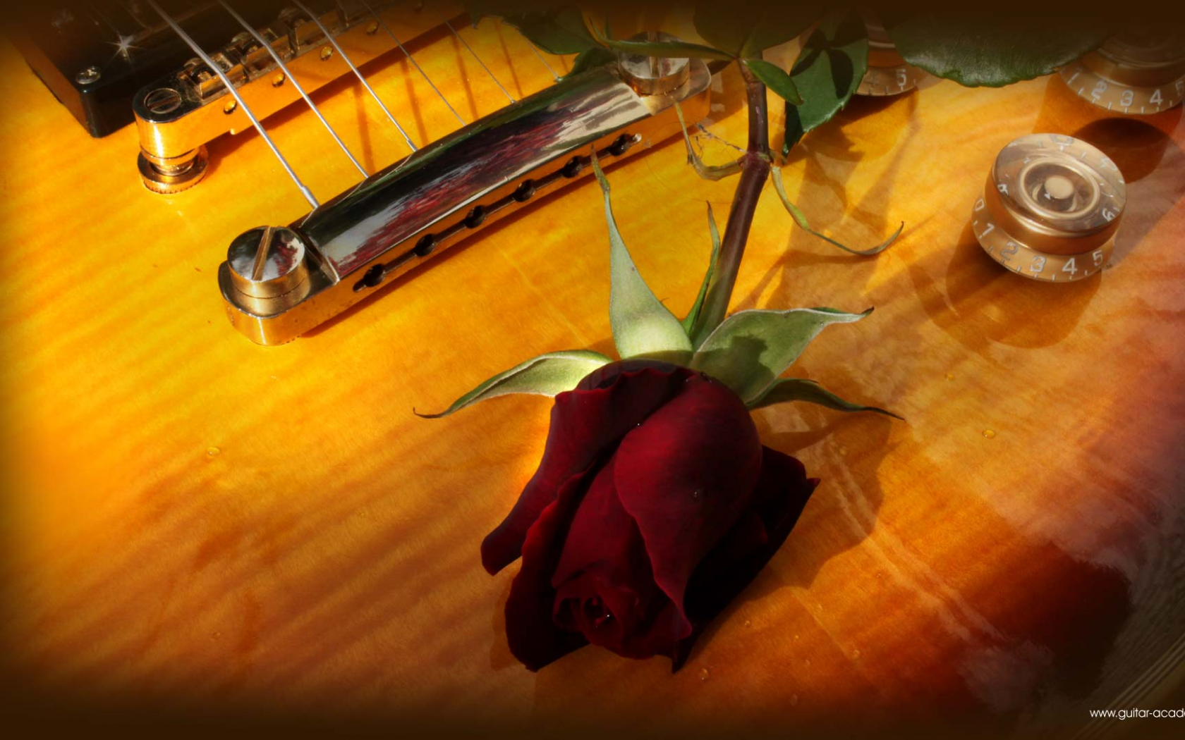 Guitar And Roses Wallpapers - Wallpaper Cave