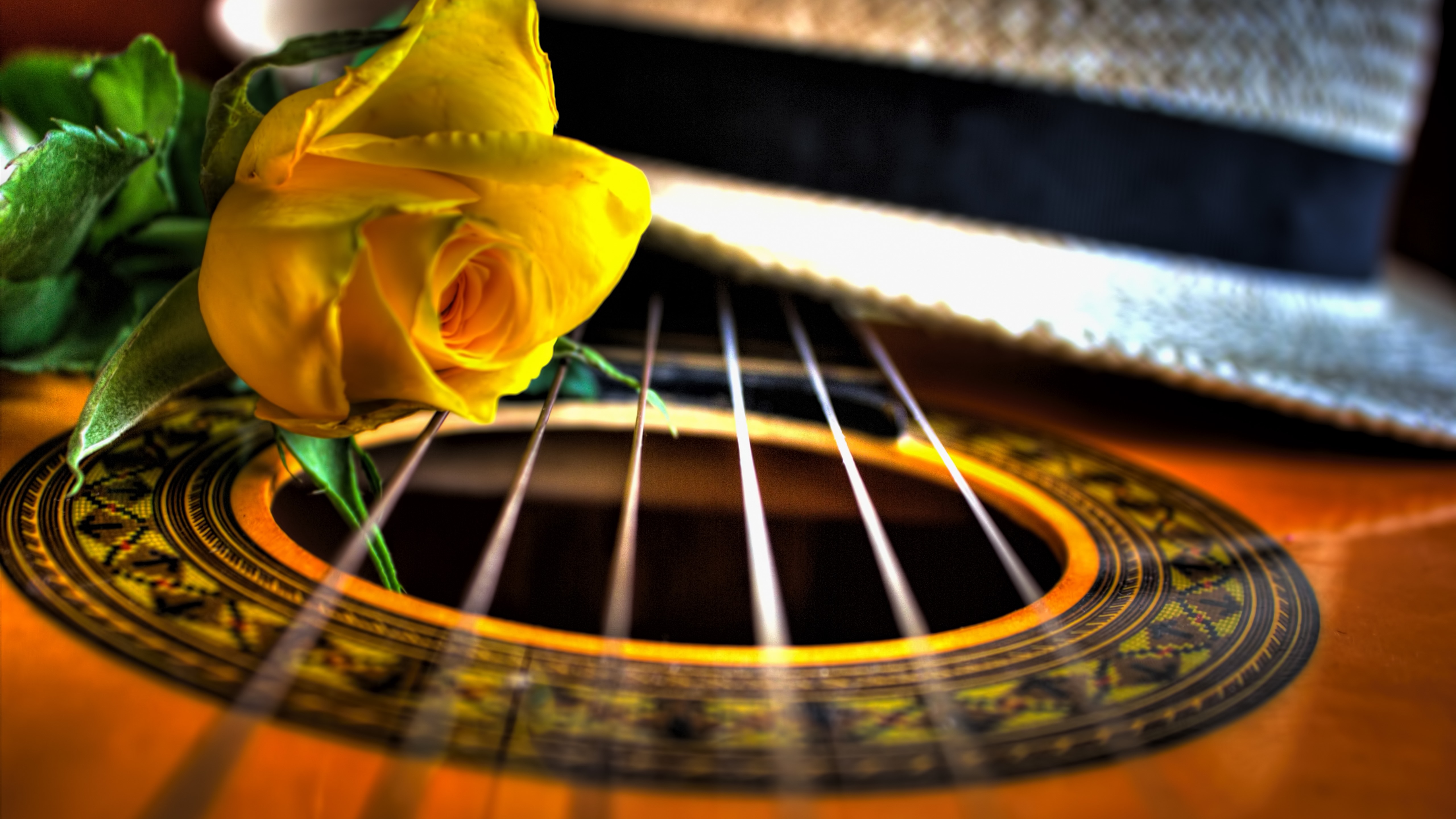 Guitar And Roses Wallpapers Wallpaper Cave
