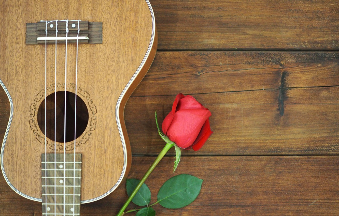 Guitar And Roses Wallpapers - Wallpaper Cave