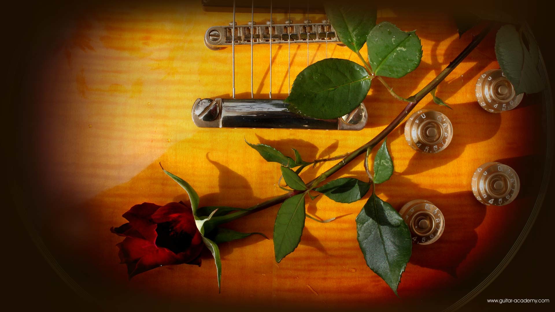 Guitar wallpaper, romantic looking Gibson Les Paul and red rose