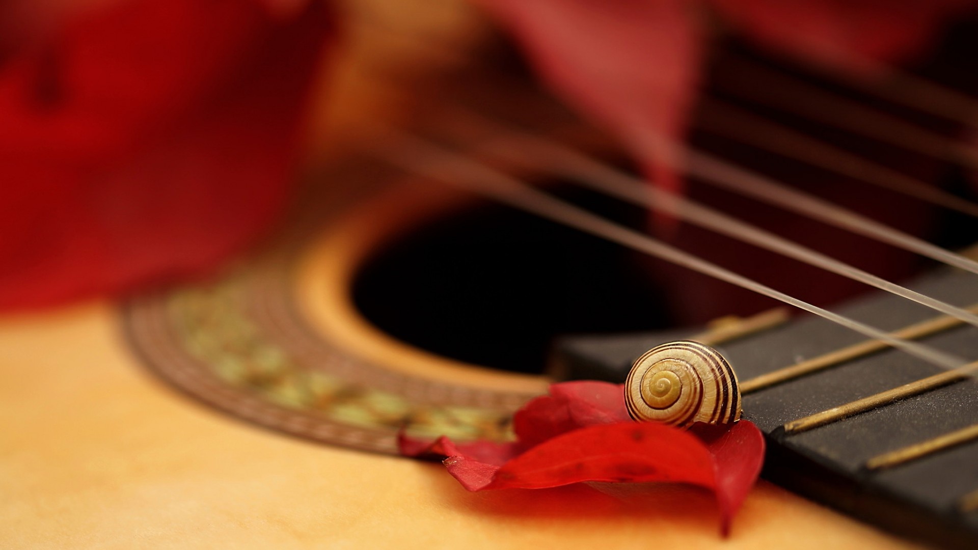 Guitar And Roses Wallpapers - Wallpaper Cave