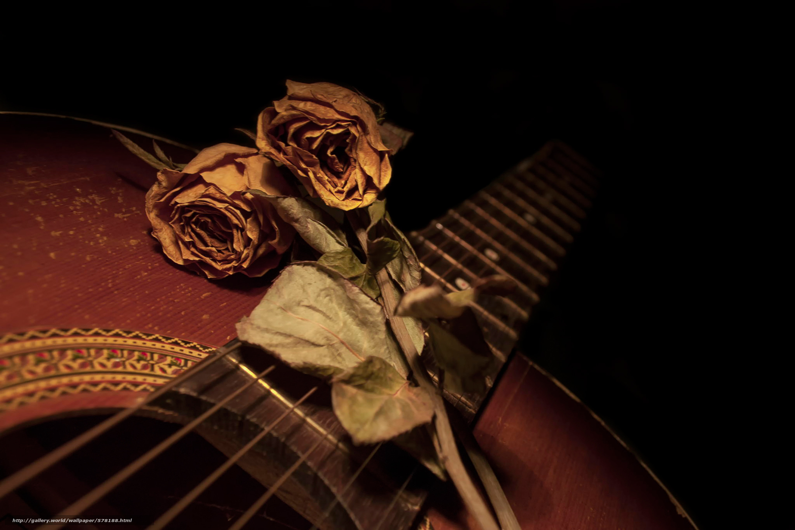 Guitar And Roses Wallpapers - Wallpaper Cave