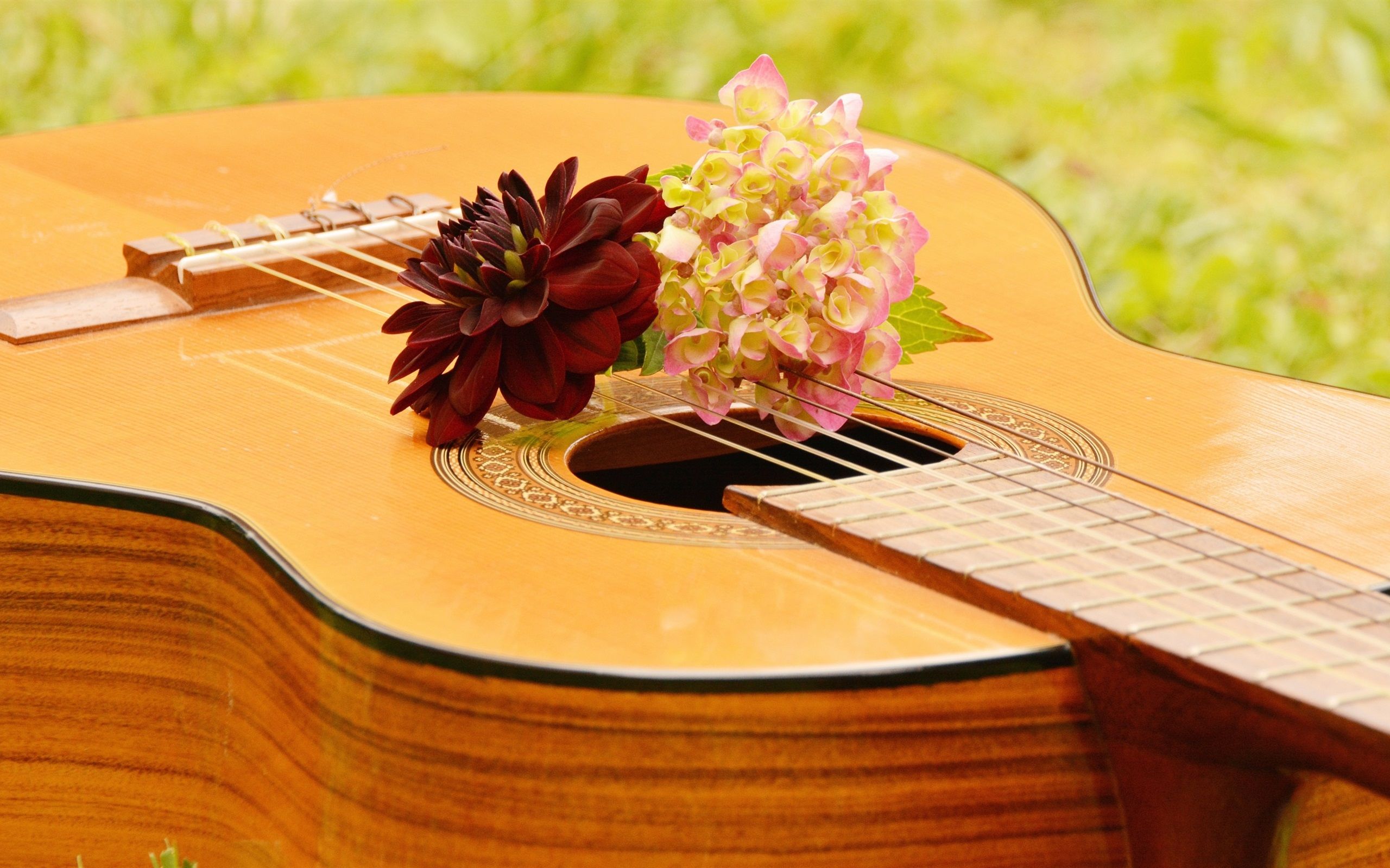 Guitar And Roses Wallpapers - Wallpaper Cave