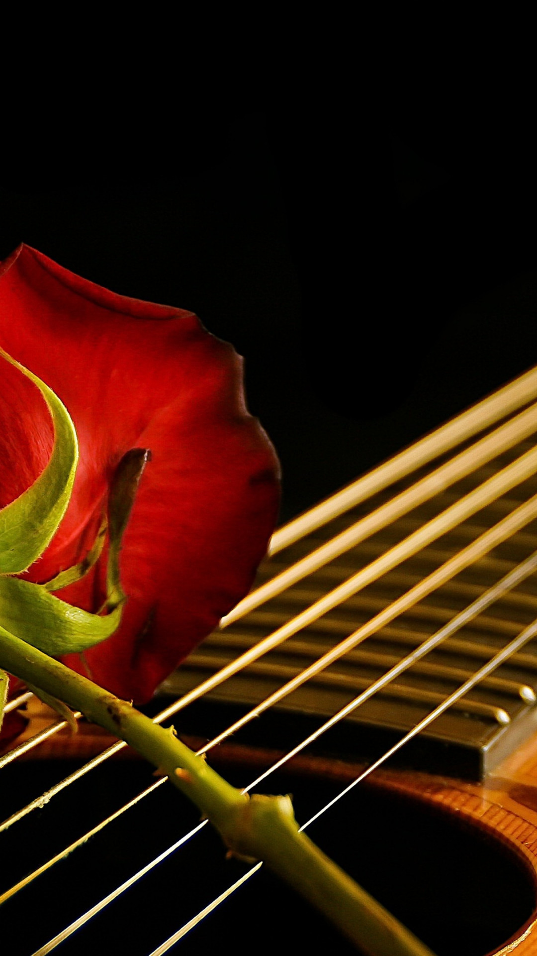 Guitar And Roses Wallpapers - Wallpaper Cave