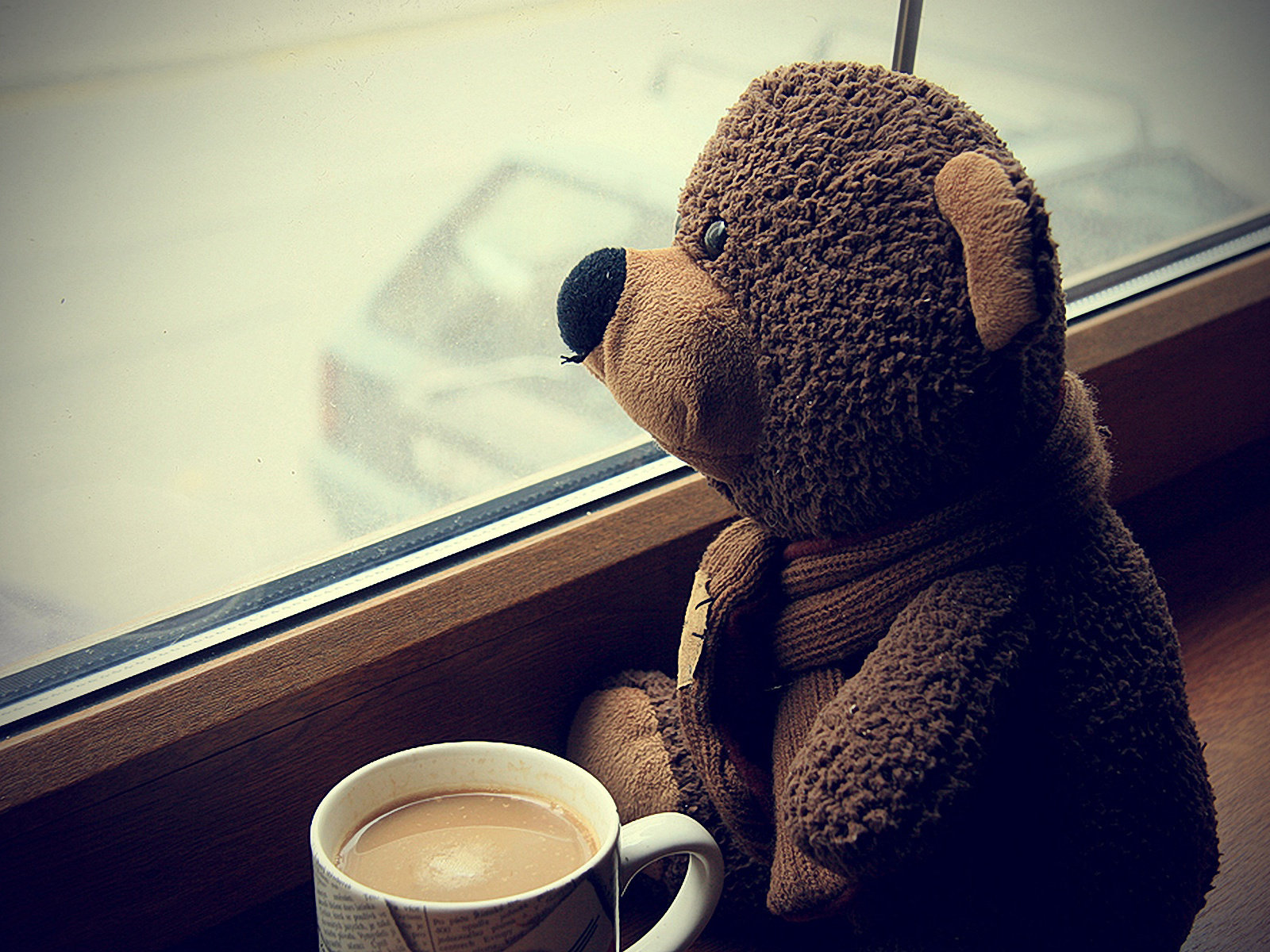 Sad Teddy Bear Wallpaper