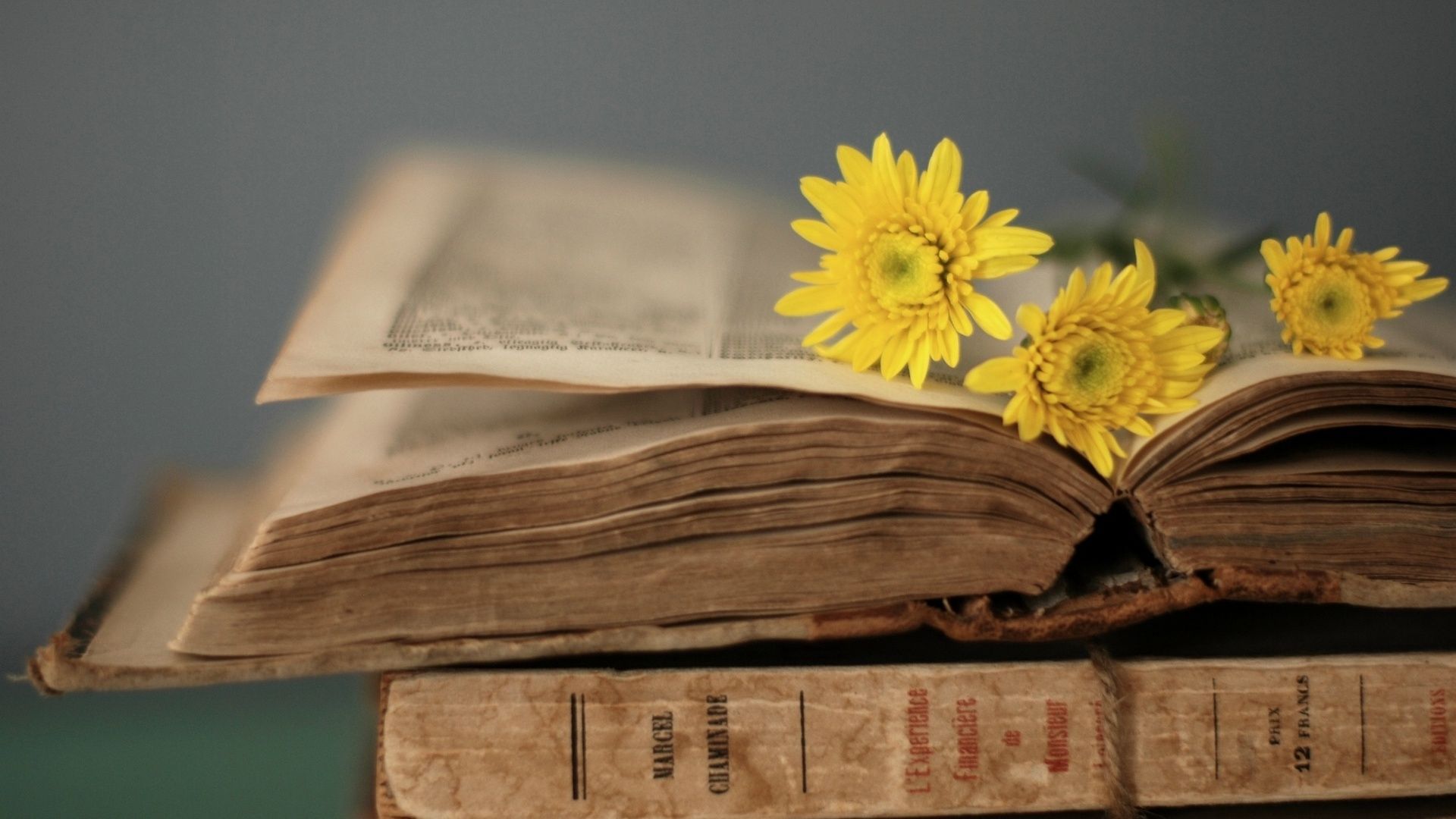 Related image. Book flowers, Old books, Book wallpaper