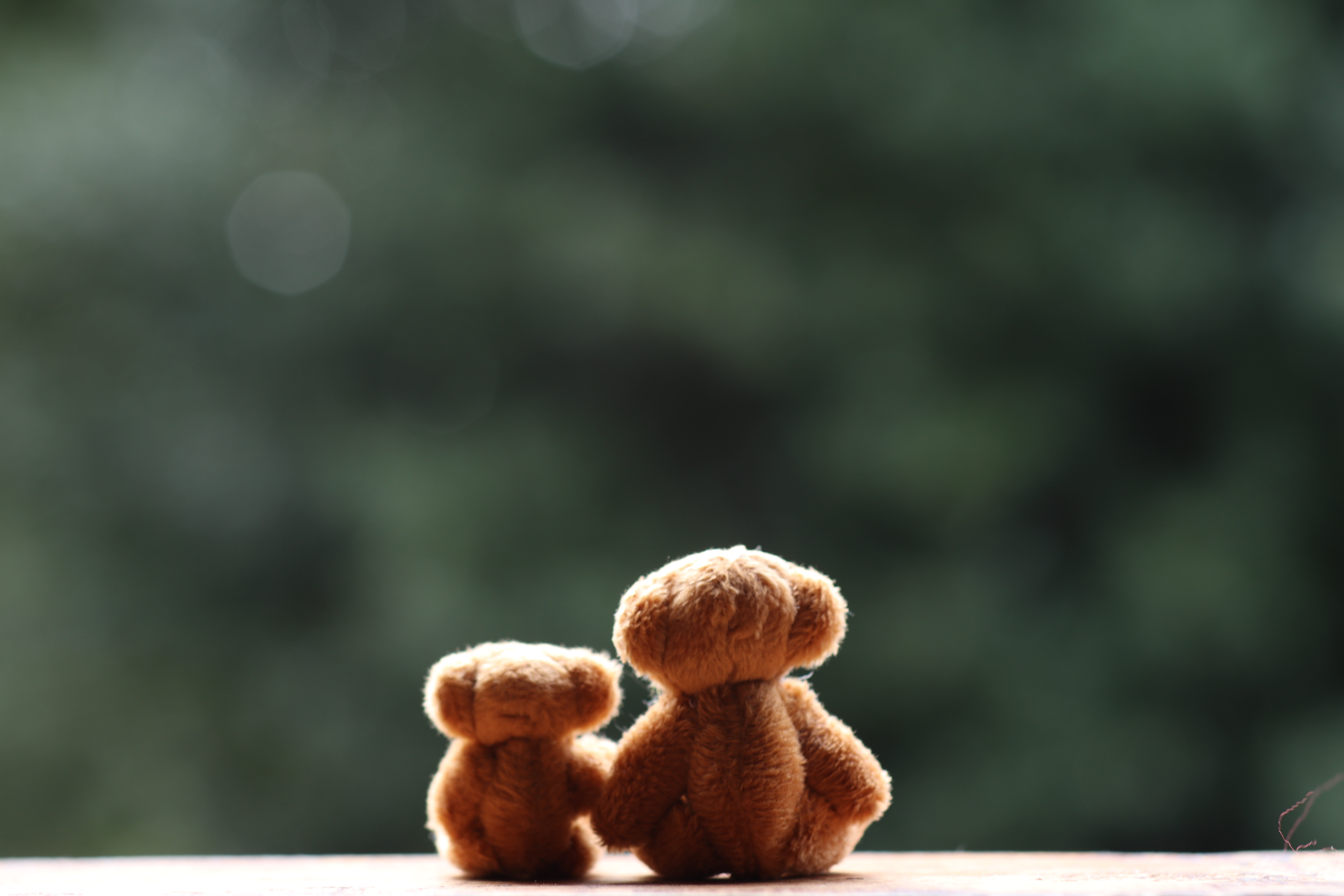 Two Brown Teddy Bears · Free