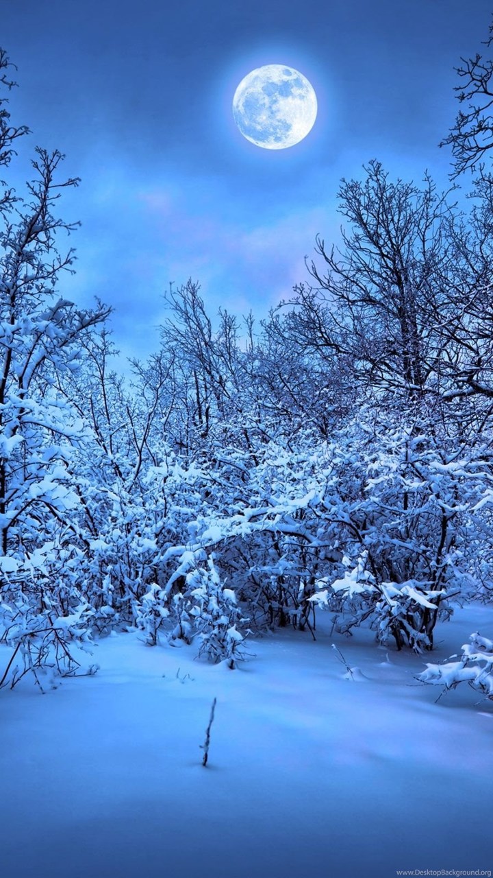 Winter Nights Full Moon Wallpaper HD For Desktop & Mobile Desktop Background