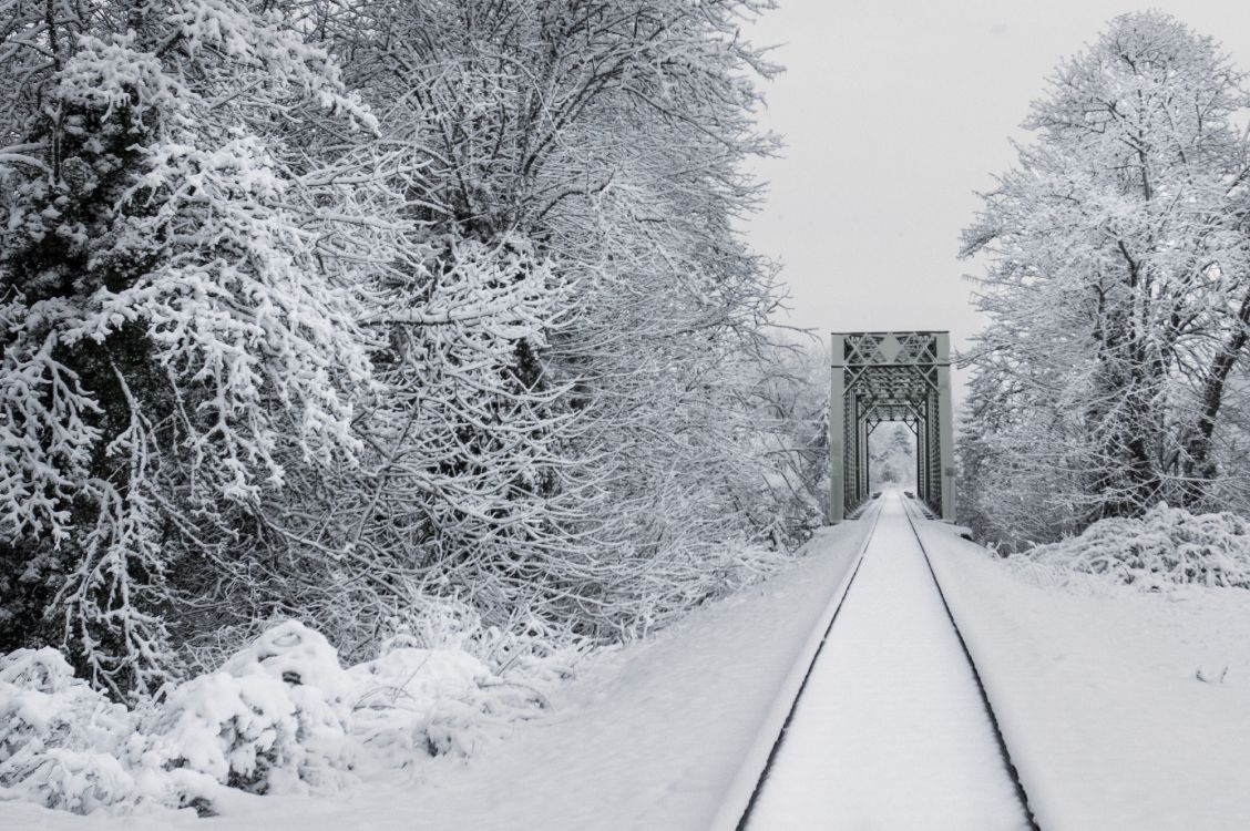 Wallpaper Train Tracks in Snow, Train, Rail Transport, Snow, Track, Background Free Image
