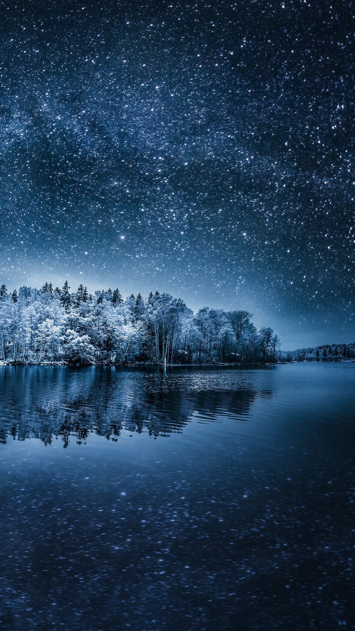 Winter Night Sky Wallpaper