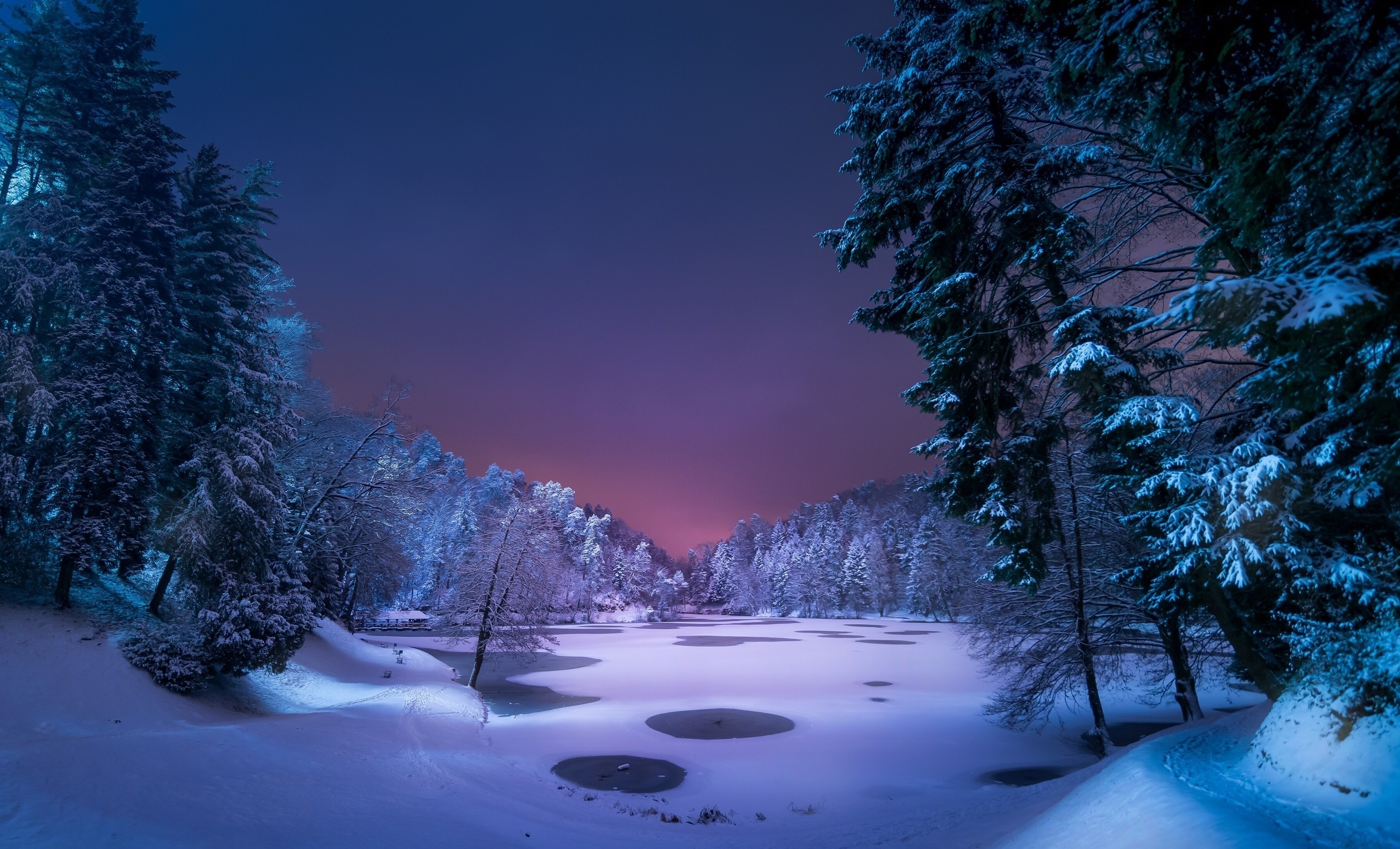 Night, Landscape, Snow, Ice, Winter, Trees, Nature