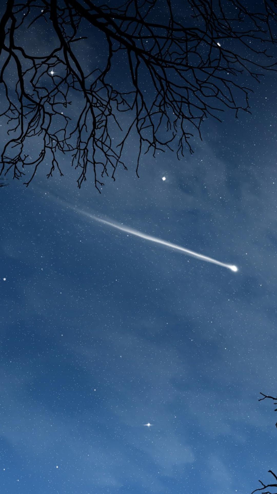 Nature Night Nature HD Wallpaper For Mobile