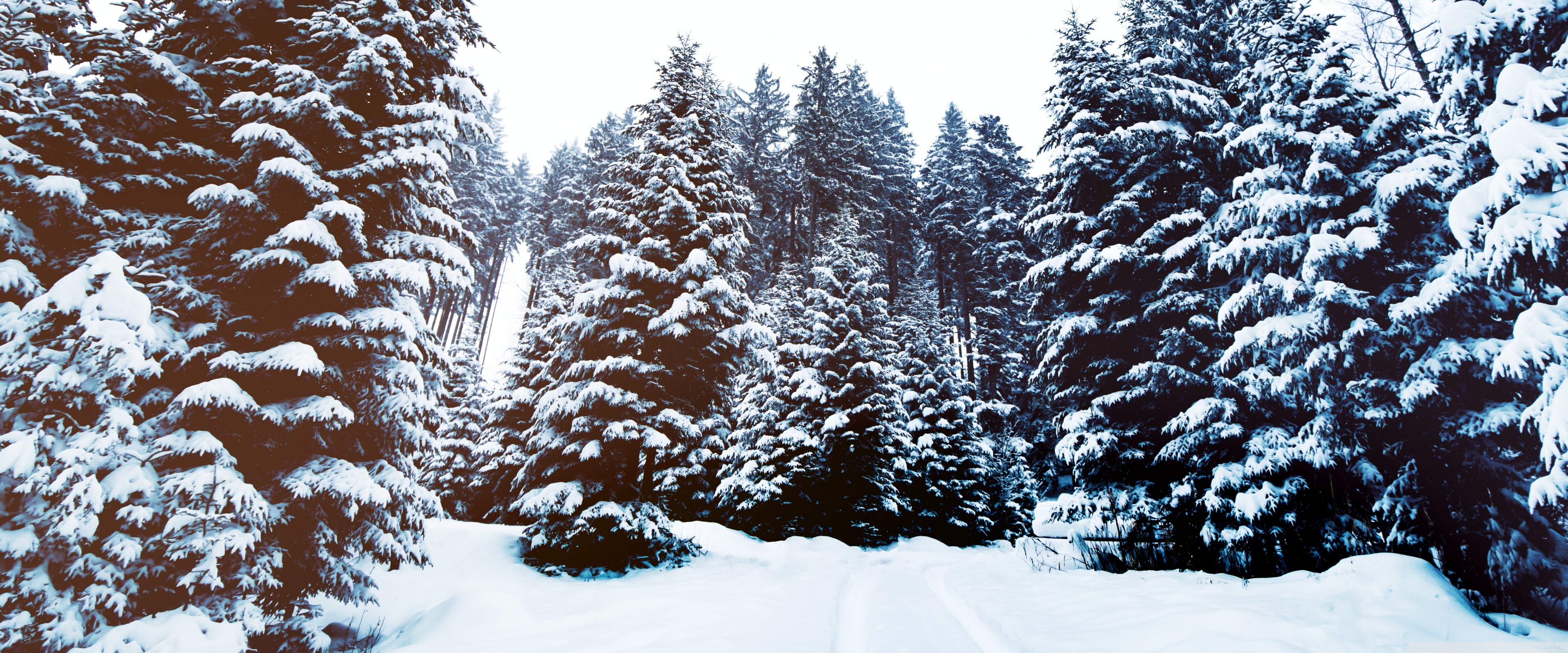 Nature Winter Ultrawide Wallpapers - Wallpaper Cave