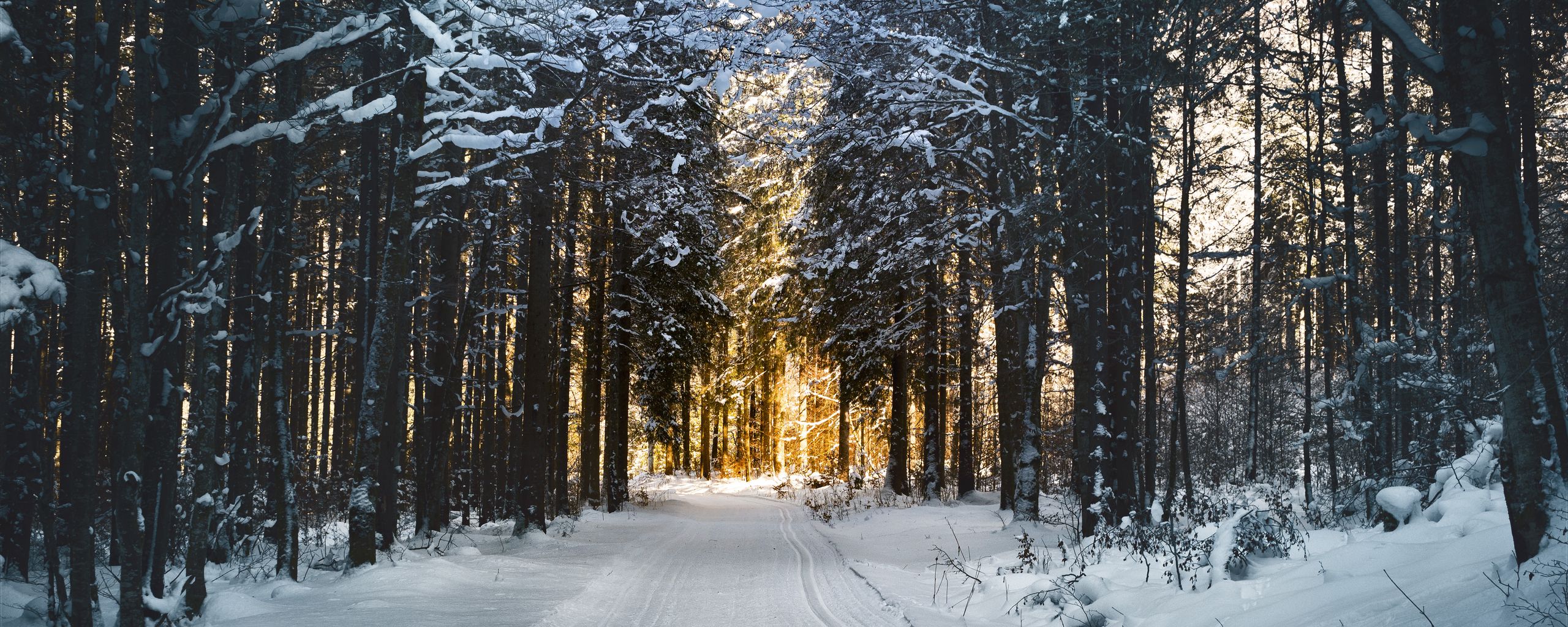 Nature Winter Ultrawide Wallpapers - Wallpaper Cave