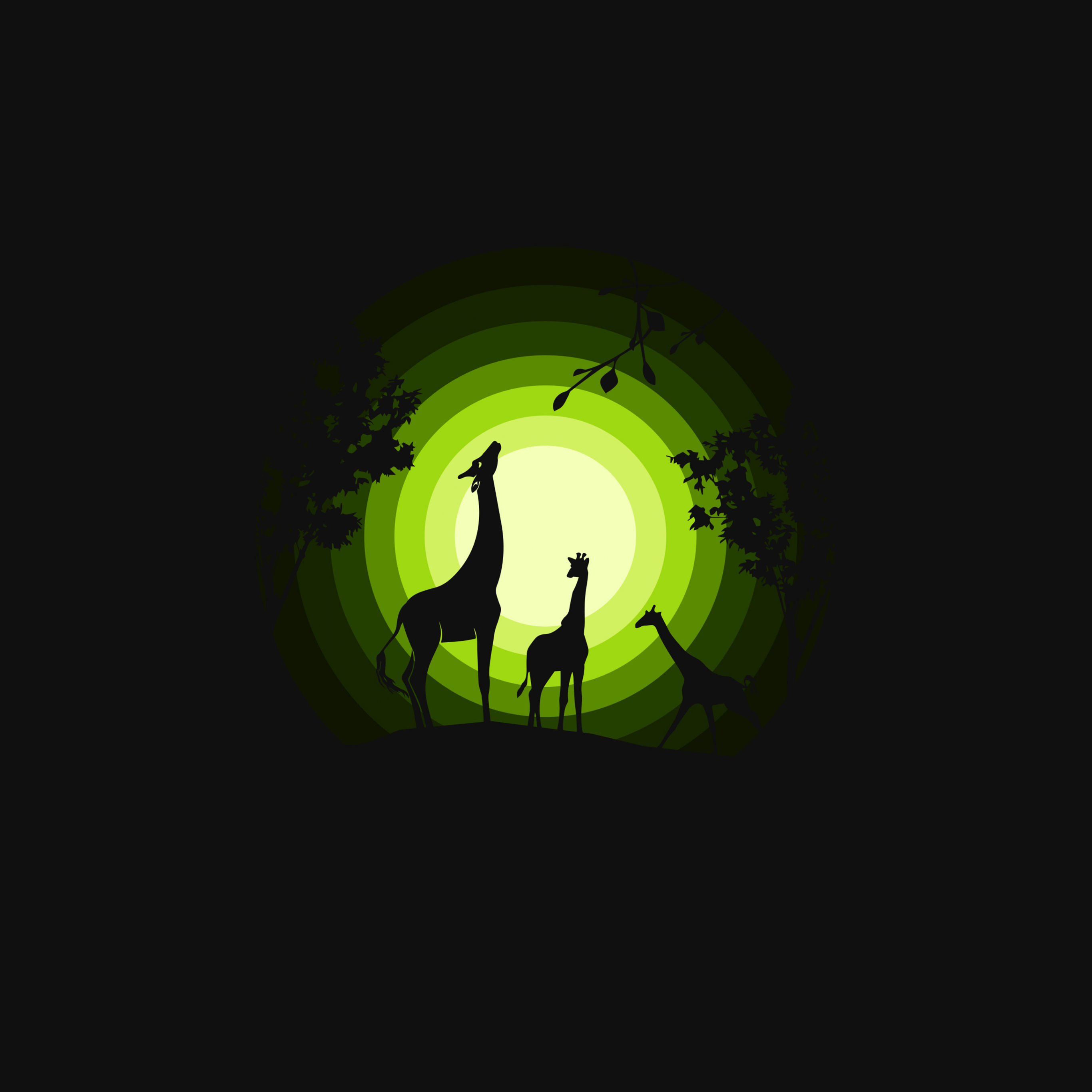 Giraffe Wallpaper 4K, Cubs, Silhouette, Forest, Moon, Green, Black Dark