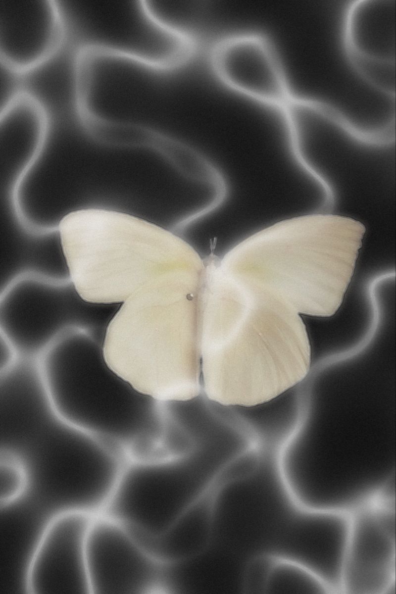 Y2K BUTTERFLY LIGHTING WALPAPER. Screen wallpaper, Butterfly lighting, Wallpaper