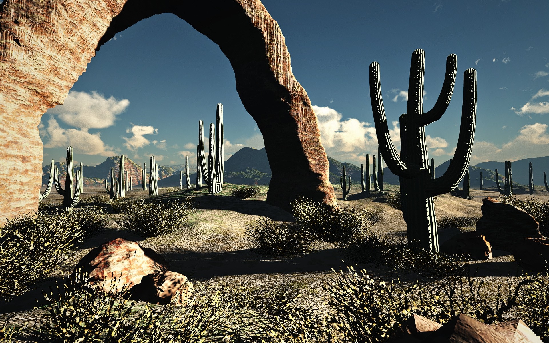 landscapes, Nature, Desert, Cactus Wallpaper HD / Desktop and Mobile Background