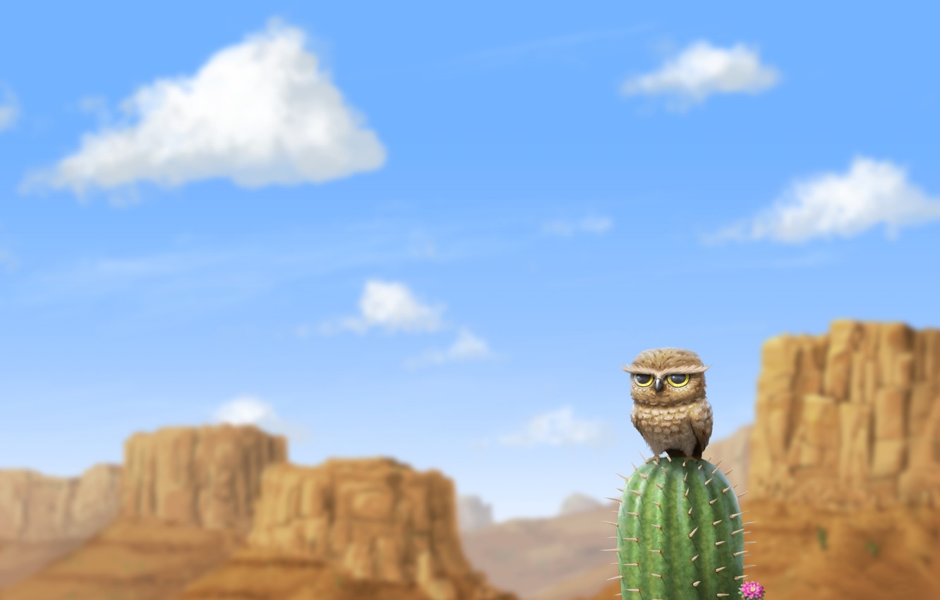 Wallpaper mountains, rocks, owl, desert, cactus image for desktop, section природа