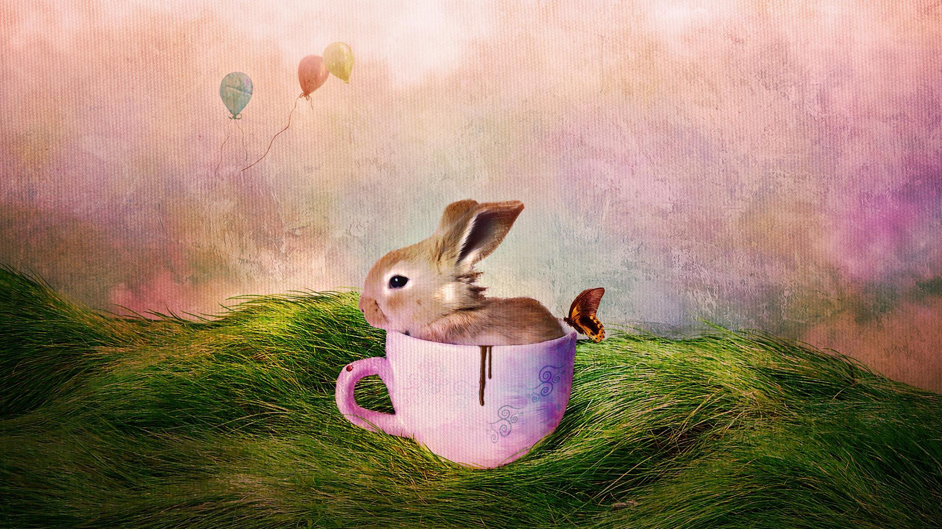 Cute Rabbit Inside Cup Beside Butterfly On Green Grass In A Colorful Background HD Animals Wallpaper