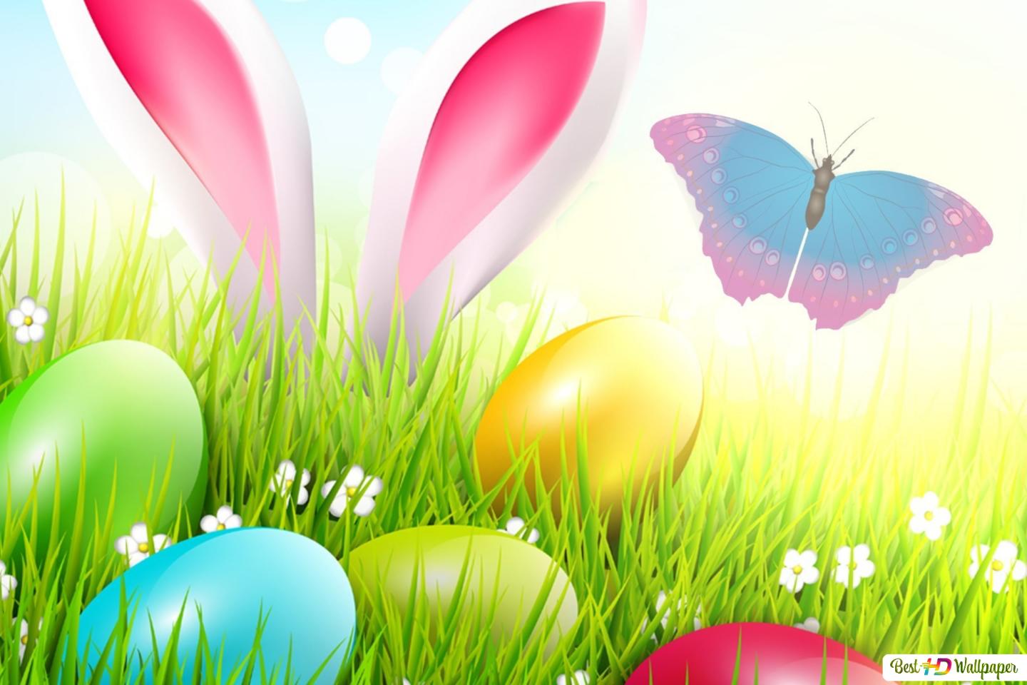 Bunny Ear & Easter Eggs HD wallpaper download