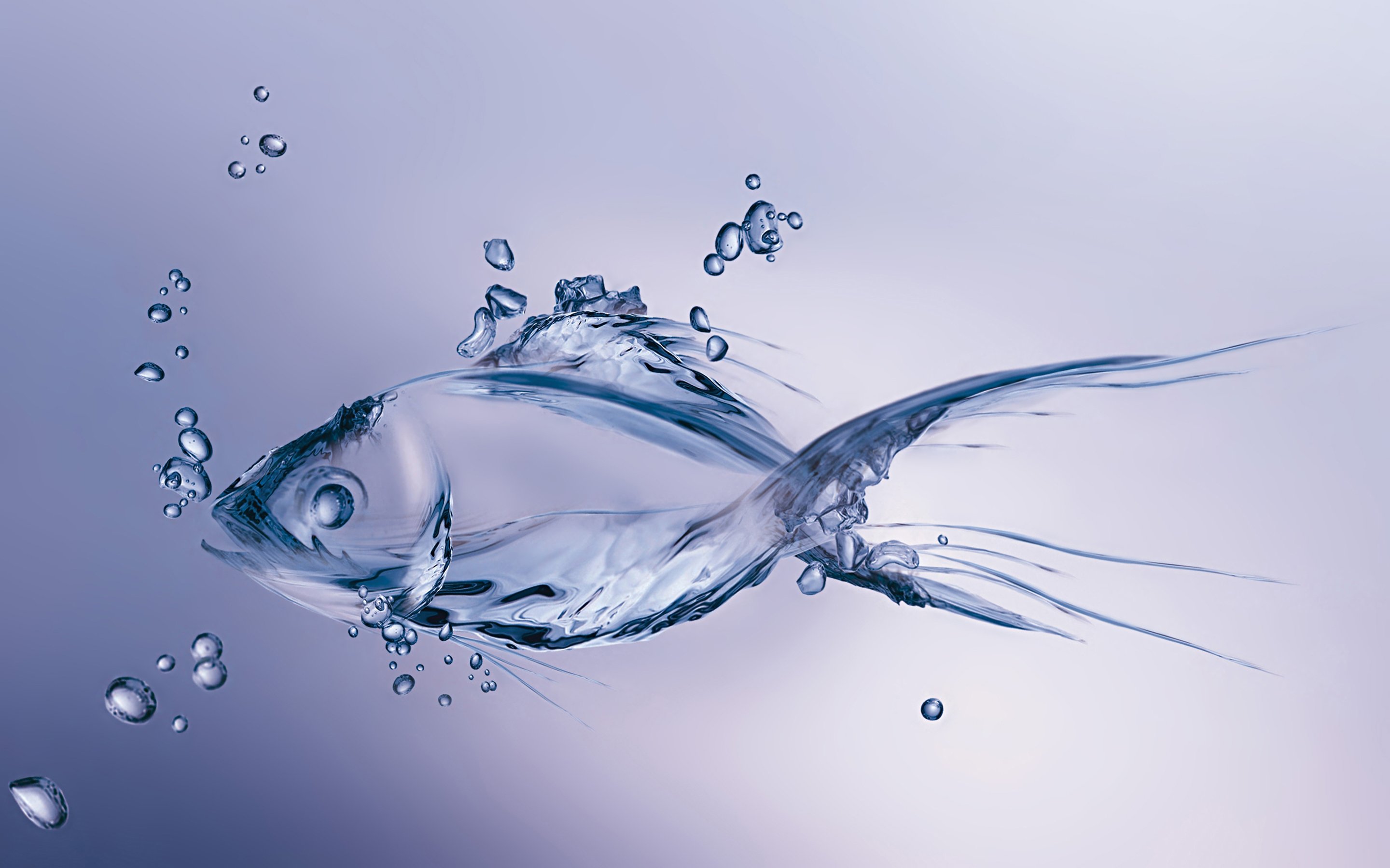 Fish in Water Wallpaper