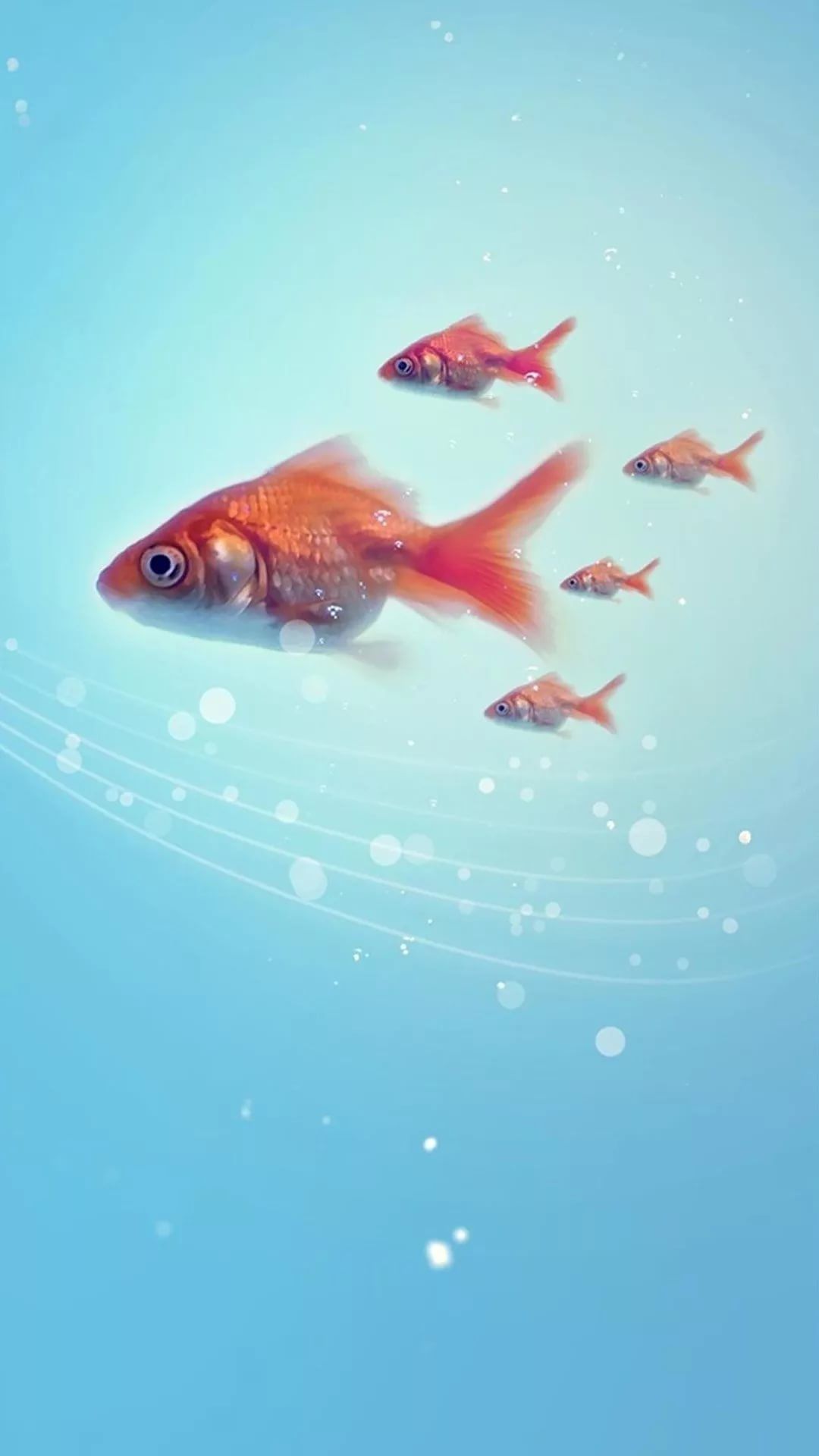 Fish iPhone Wallpaper