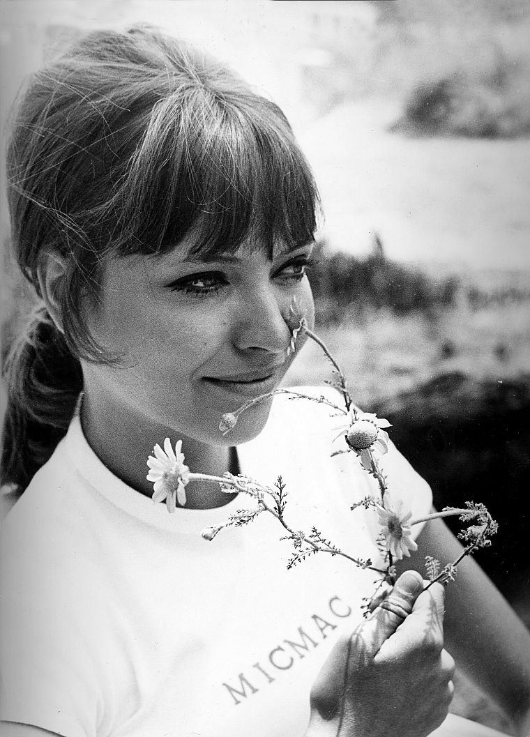 Anna Karina Wallpaper / WallpaperJam.com