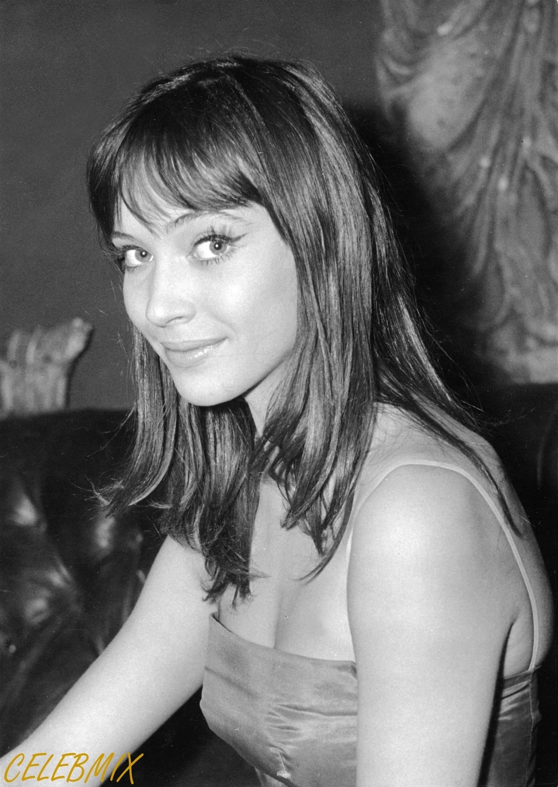 Anna Karina picture