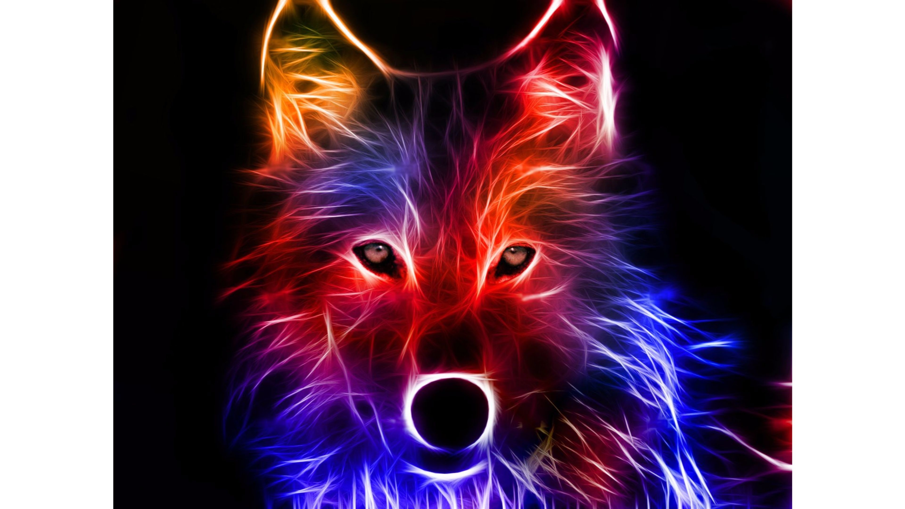 3840x Colored Wolf 3D 4k Wallpaper Wallpaper 3D