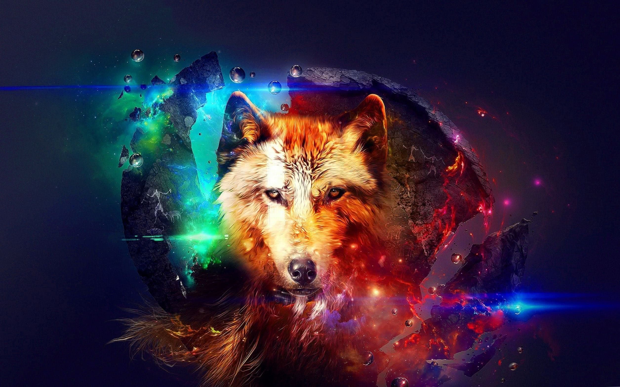 Colorful Wolf Wallpaper