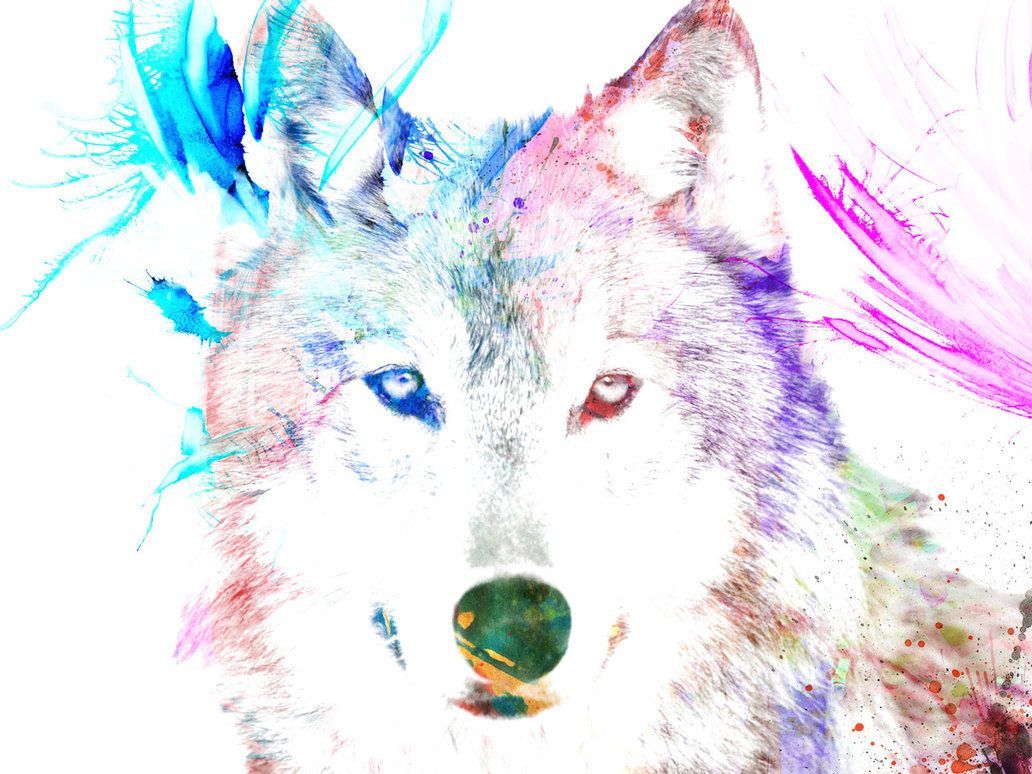 Wolf Watercolor Wallpaper, HD Wolf Watercolor Background on WallpaperBat