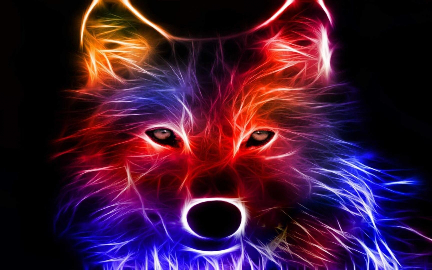 Free download 64 Neon Wolf Wallpaper [1920x1080] for your Desktop, Mobile & Tablet. Explore Image of Wolf Wallpaper. Wolf Wallpaper, Wolf Desktop Wallpaper, Free Wolf Picture Wallpaper