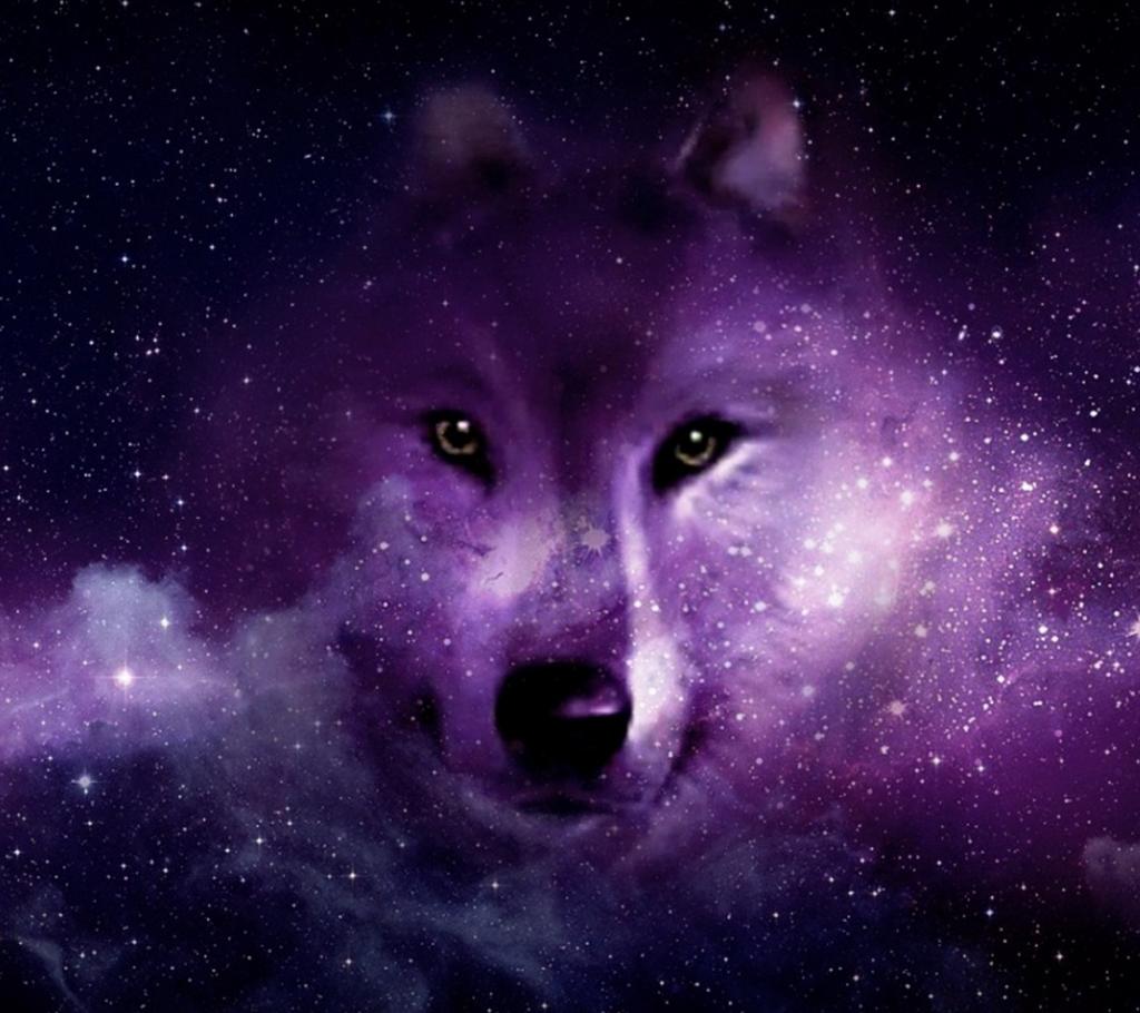 Cool Galaxy Wolves Wallpaper