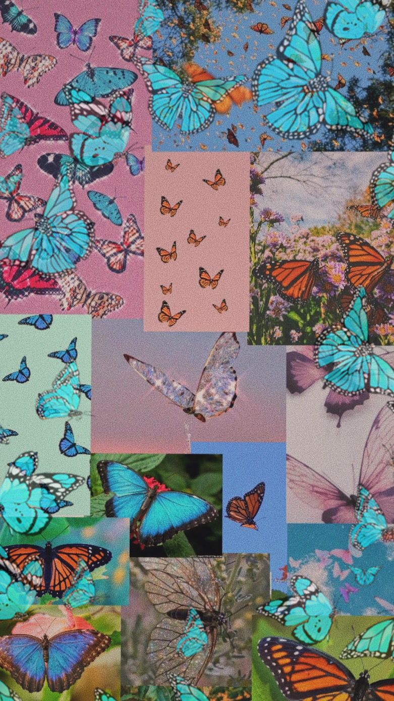 Butterfly aesthetic wallpaper. Butterfly wallpaper iphone, Rainbow wallpaper iphone, Rainbow butterflies