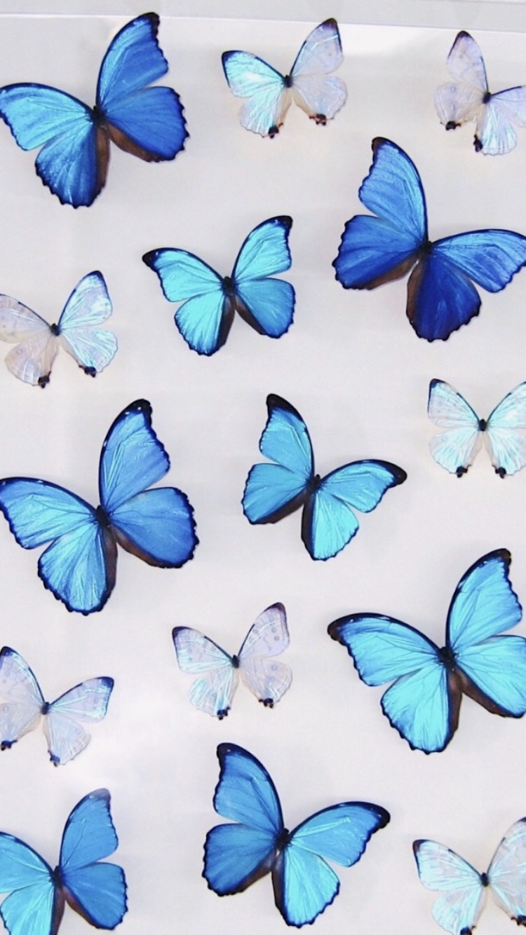 Picture For Wall Collage Blue + Picture For Wall. Blue butterfly wallpaper, Picture collage wall, Butterfly wallpaper iphone