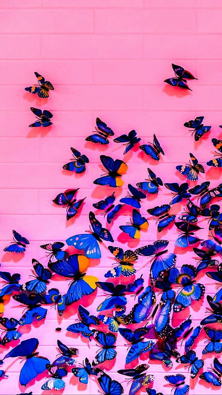 Colorido. Butterfly wallpaper iphone, Butterfly wallpaper, Picture collage wall