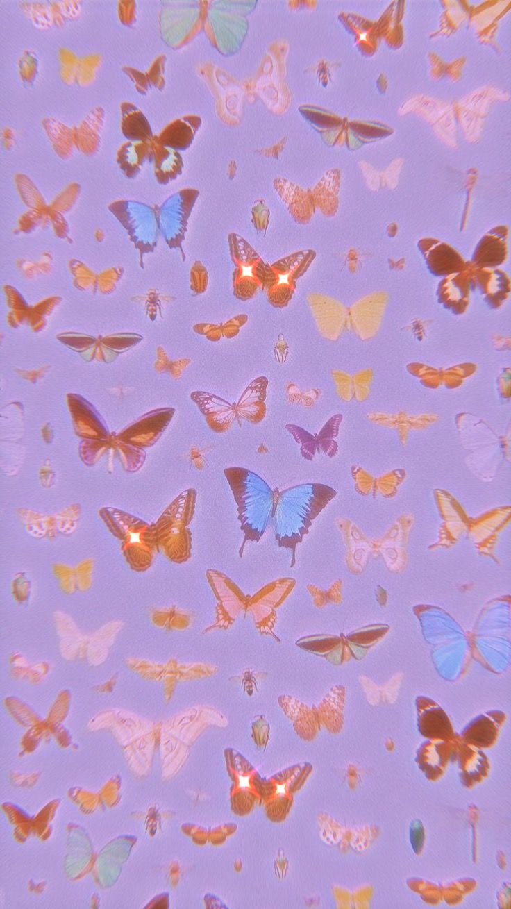 butterflies. Aesthetic iphone wallpaper, iPhone wallpaper tumblr aesthetic, Butterfly wallpaper