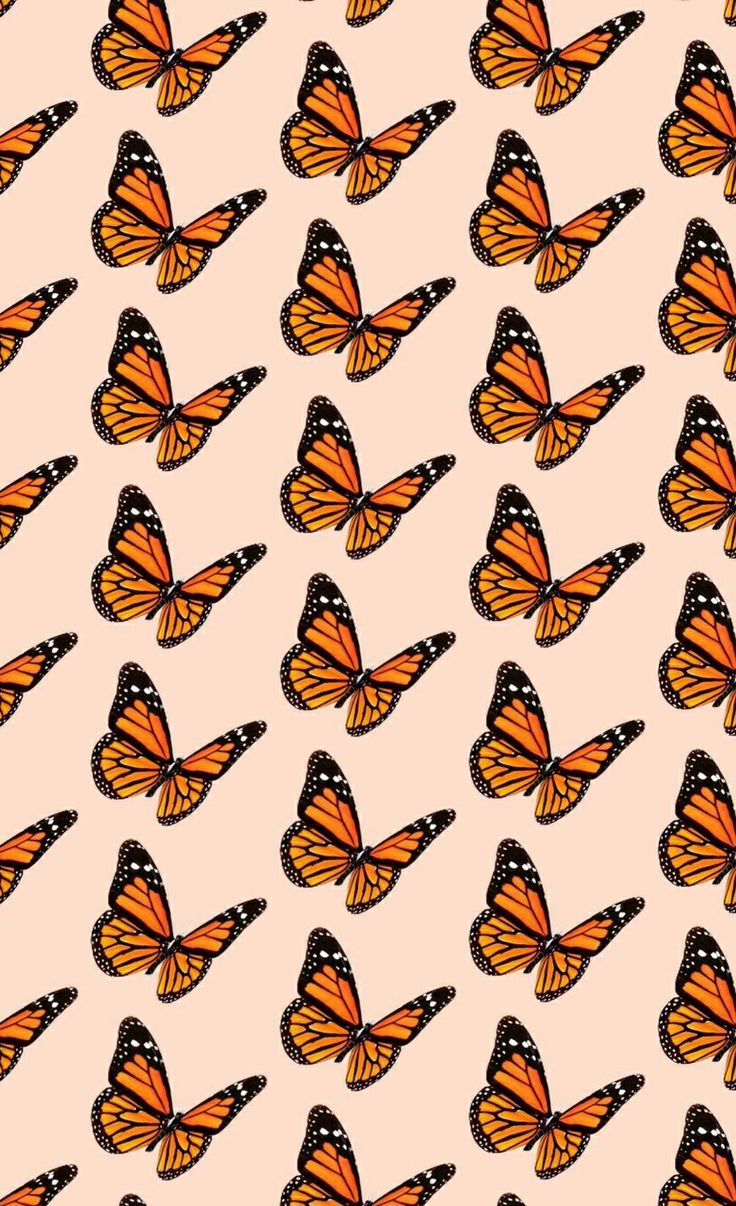 Butterfly wallpaper, Photo wall collage, Cute wallpaper background