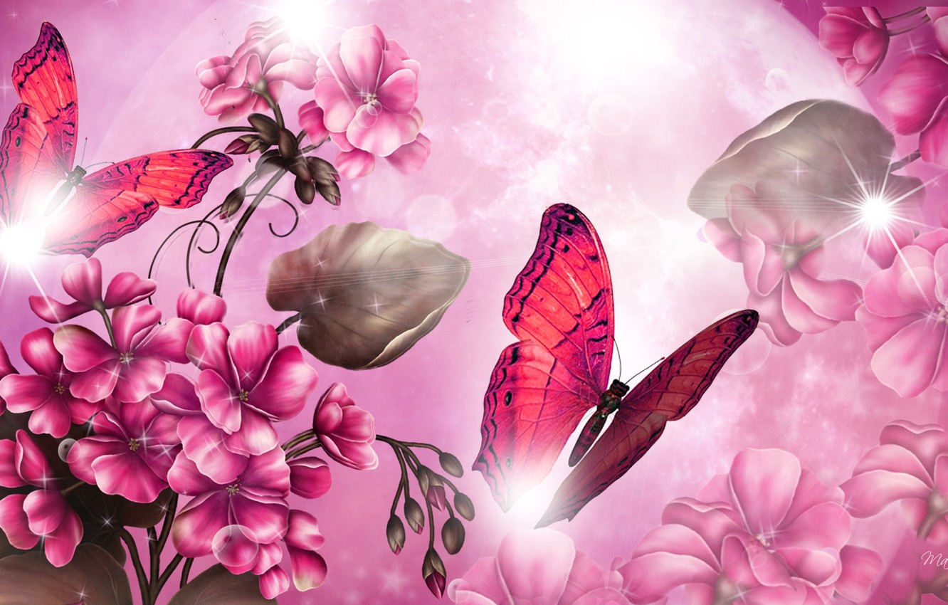 Wallpaper light, flowers, collage, butterfly, Blik image for desktop, section разное