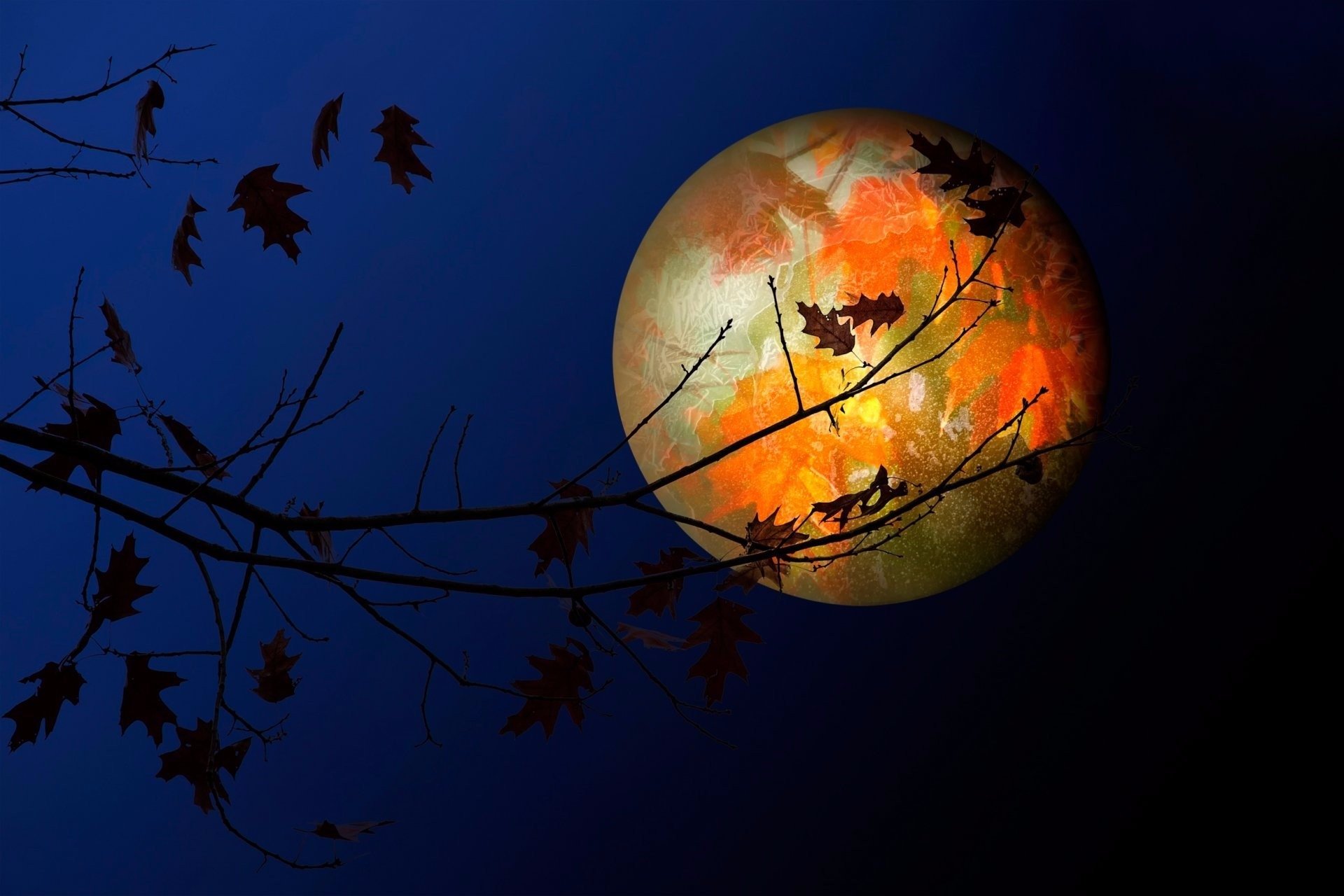 Moonlit Autumn Leaves: Artistic Night Silhouette HD Wallpaper