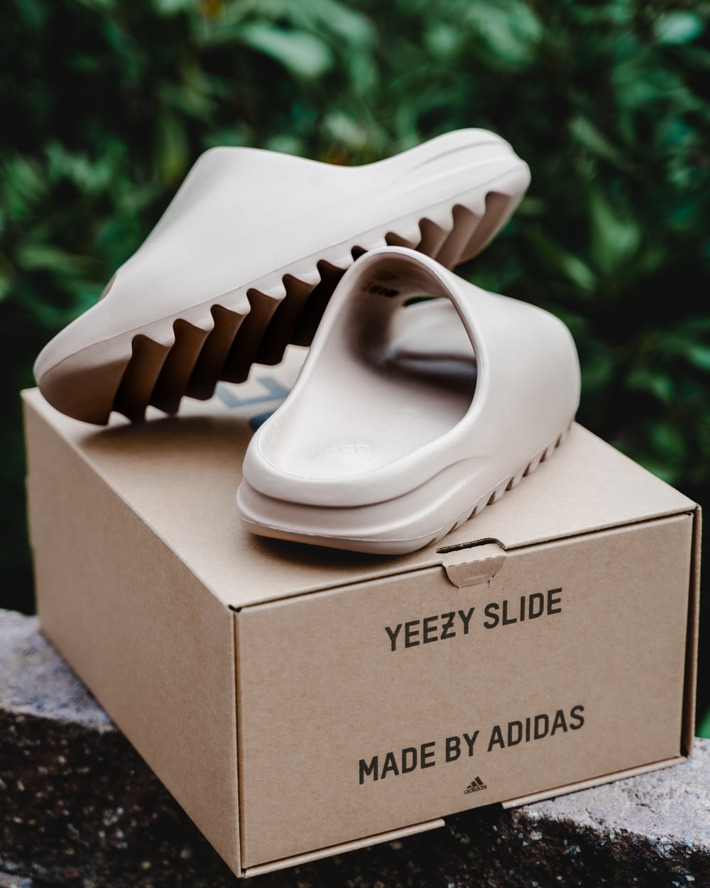 Yeezy Boost 350 Picture. Download Free Image