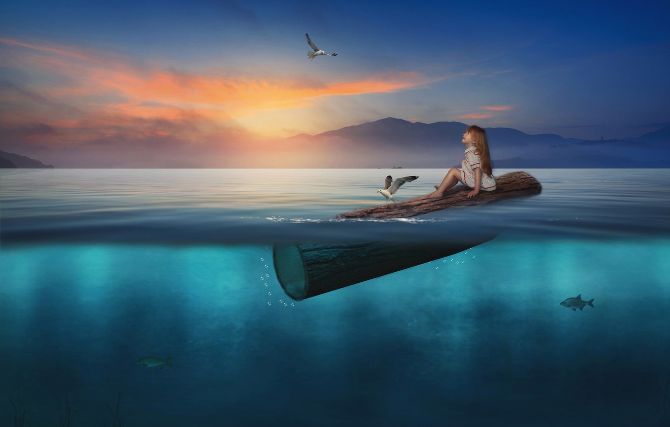 Wallpaper water, fish, sunset, birds, seagulls, the situation, girl, log image for desktop, section ситуации